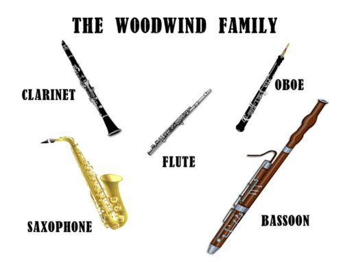 Woodwind Family